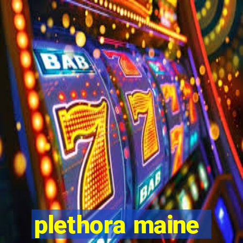 plethora maine